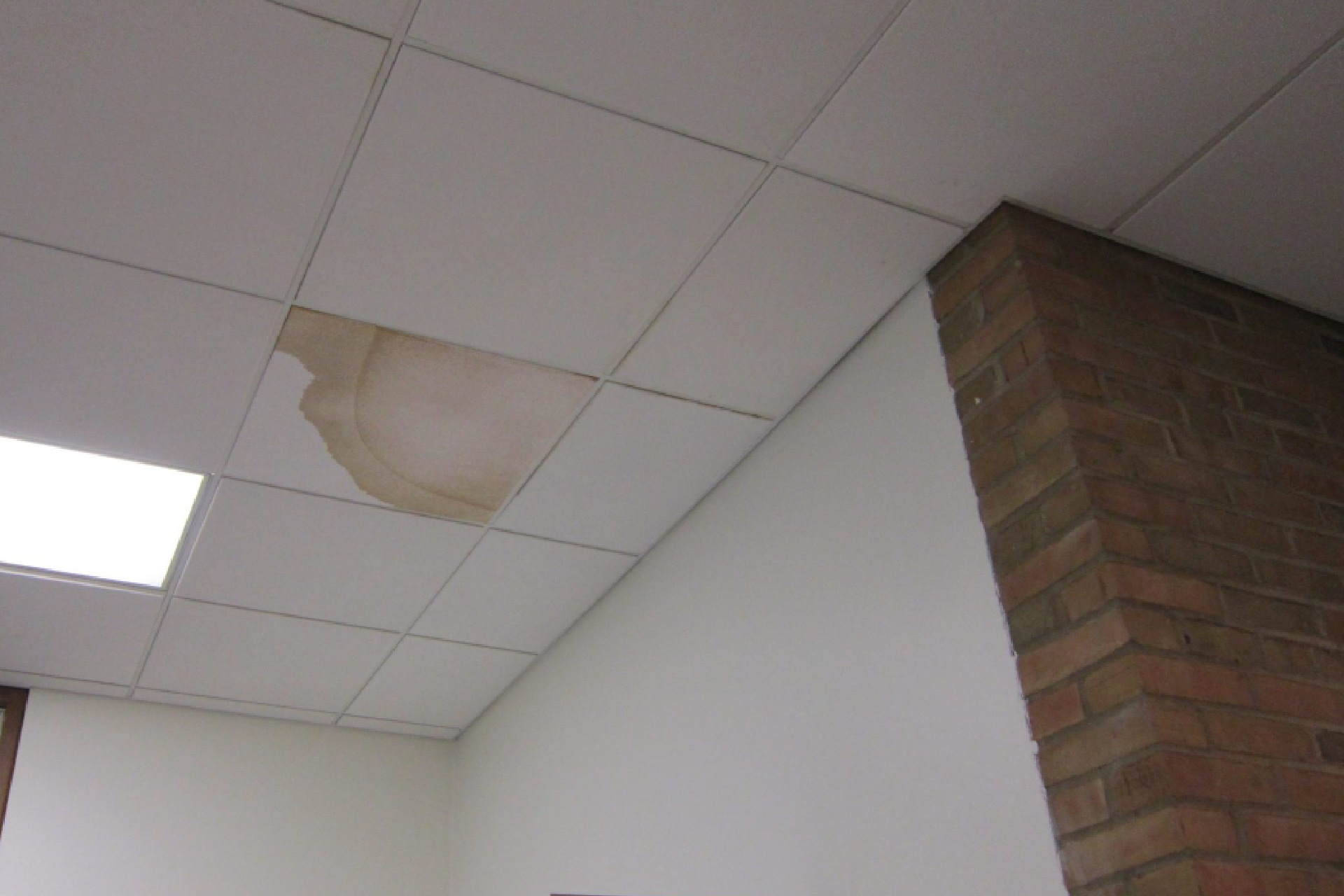 Ceiling with white tiles, one tile is stained brown from water damage. Brick pillar and white walls are visible nearby. Fluorescent light fixture is in the ceiling to the left.